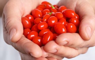 Eating Goji berries can help athletes