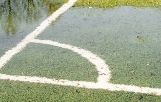 Decision making in players